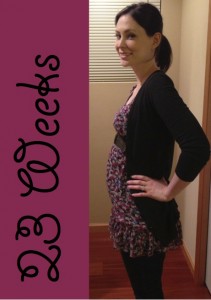 23 Weeks